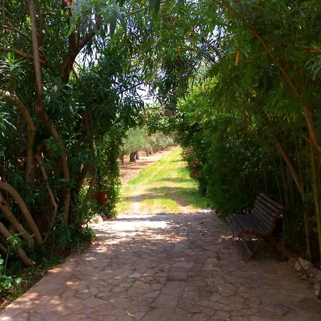Olive Beach Githio