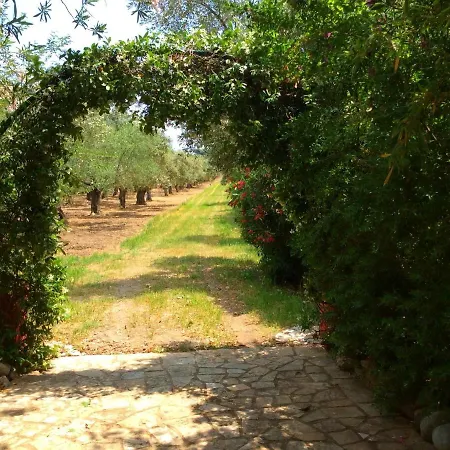 Olive Beach Ferienhaus *